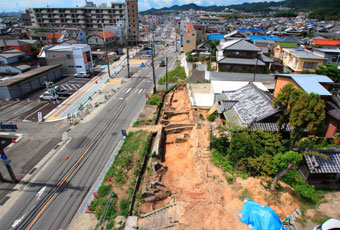 調査区の全景
